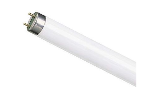 OSRAM L18W/765 T8 TUBE - T8 fluorescent tube with warm white light for pleasant ambiance, energy saving features, and wide application in commercial spaces